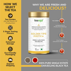 Golden Tips Exotica (Limited Edition) - Tearaja