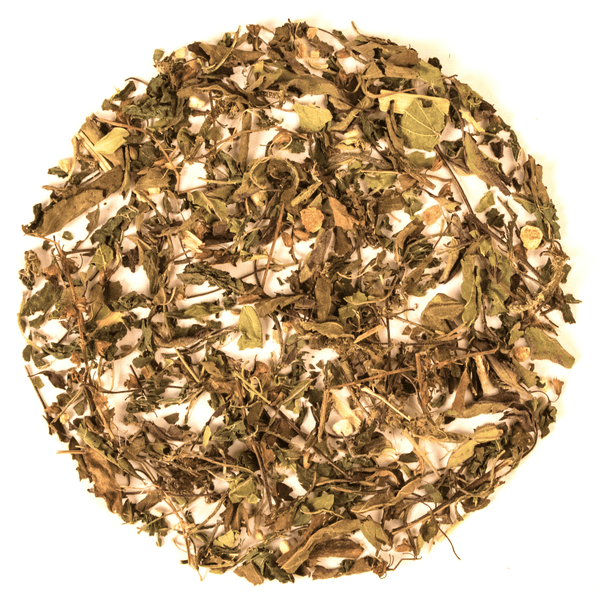 Tearaja_Nursing_Mothers_Tea 04