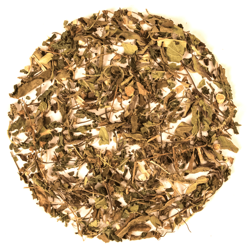 Tearaja_Nursing_Mothers_Tea 04